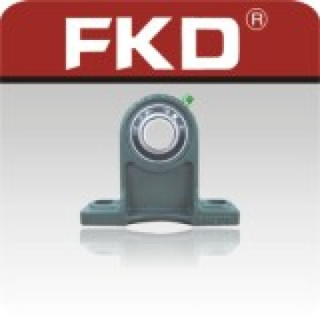 Fkd Ucph205 Kissenblocklager